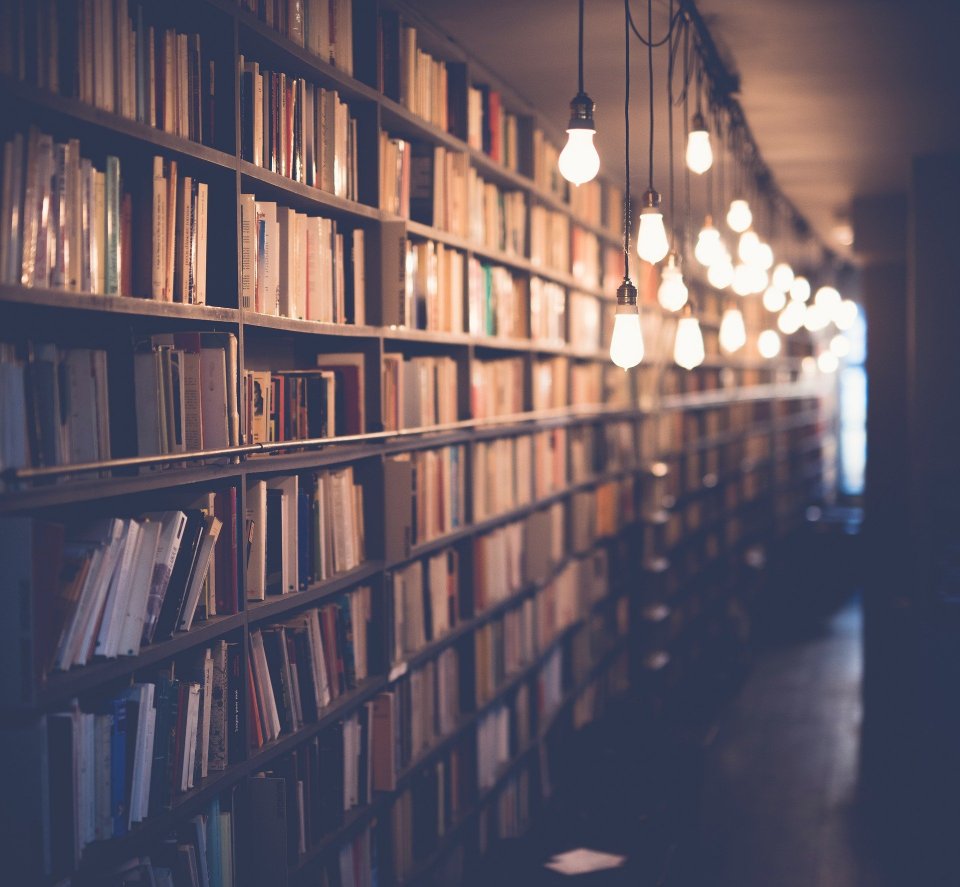 bookshop shelves