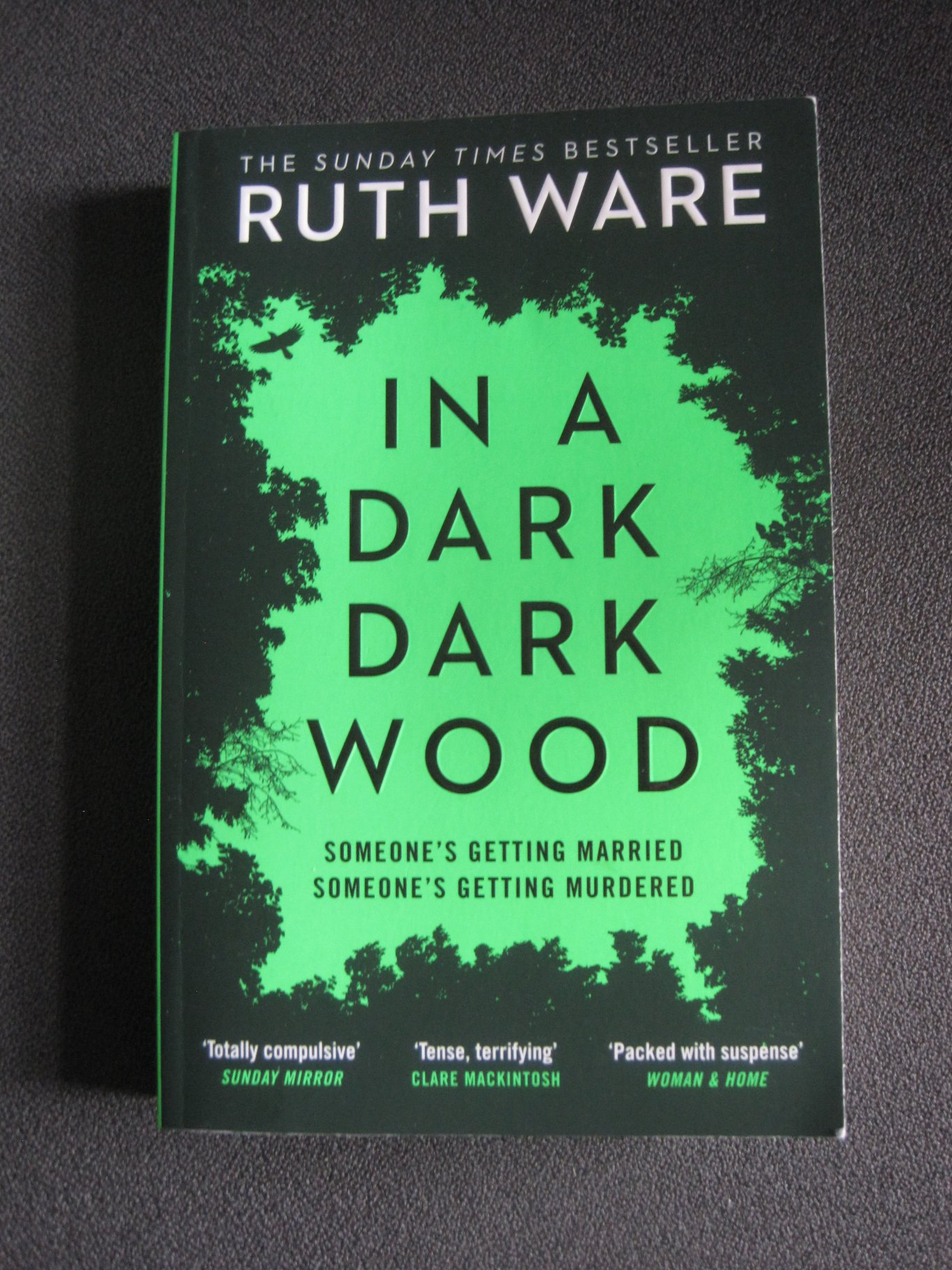 In a Dark, Dark Wood - Solve The Murder
