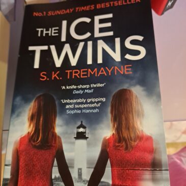 ice twins book cover